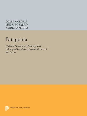 cover image of Patagonia